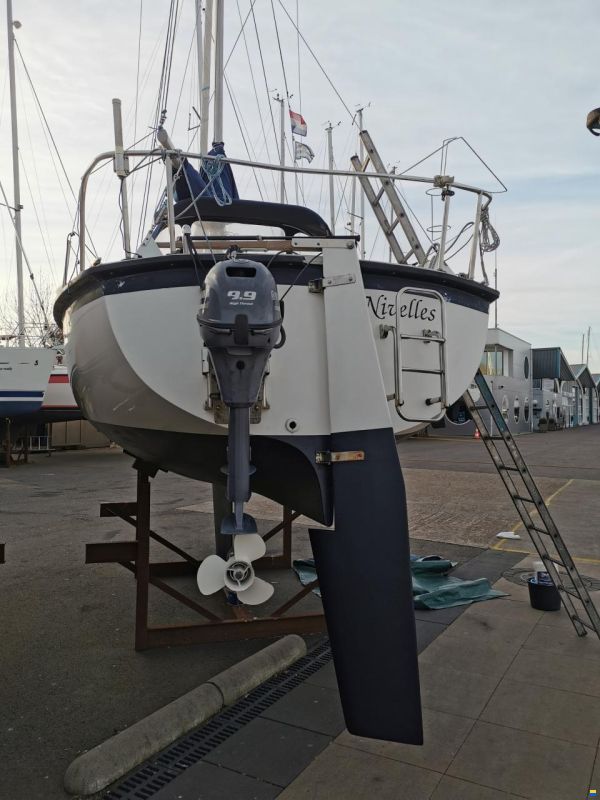 Aloa 25
