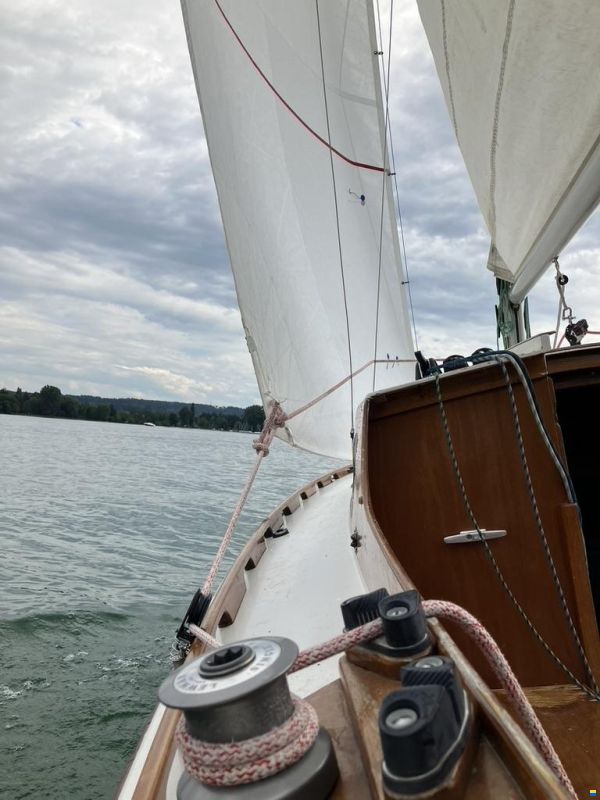 Meier Schwalbe MC 20