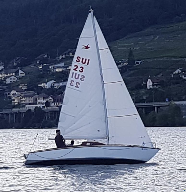 Meier Schwalbe MC 20