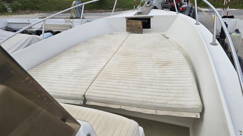 Robalo 25,20