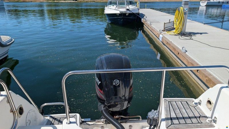 Yamarin 650 BIGCATCH