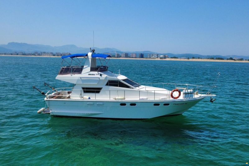 Astondoa 120