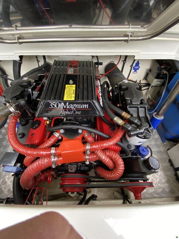 Formula 206 LS