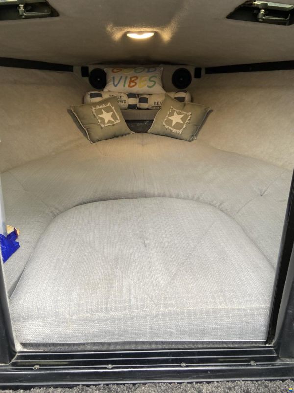 Formula 206 LS