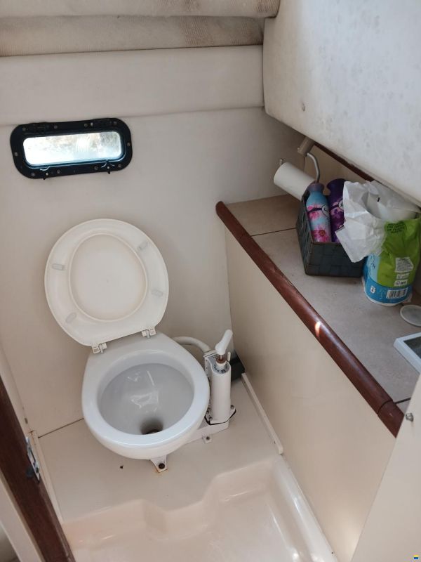 Bayliner Sports