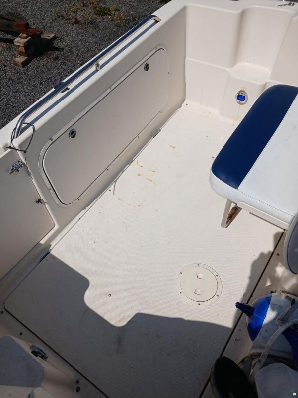 Bayliner Sports