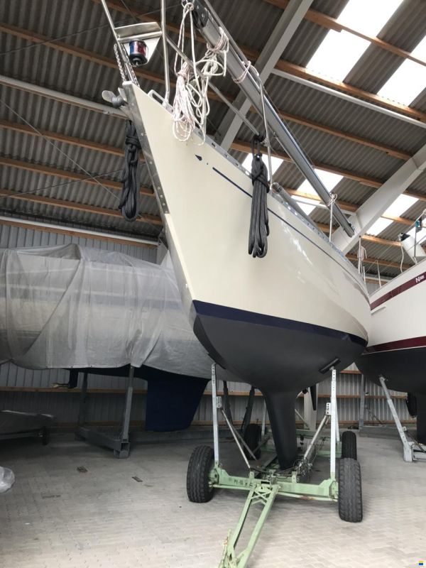 Avance 36 de Luxe