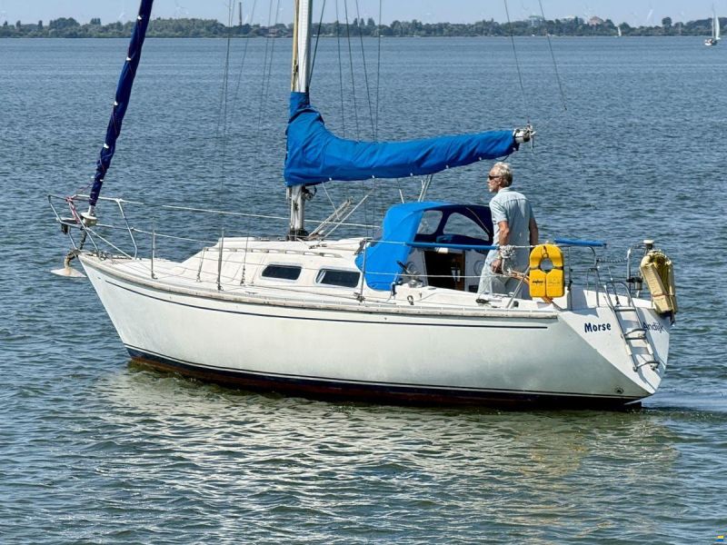 Contessa 28