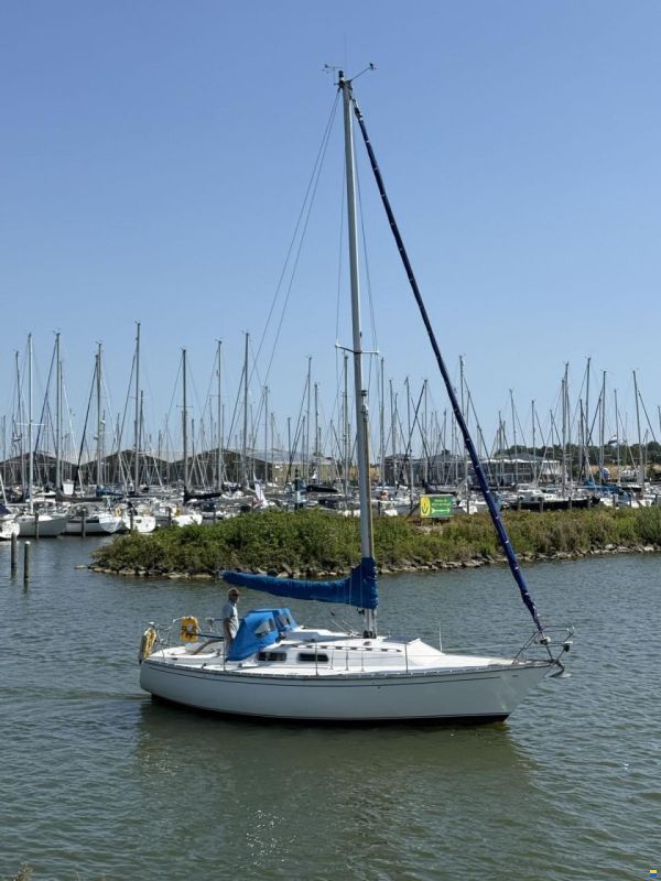 Contessa 28