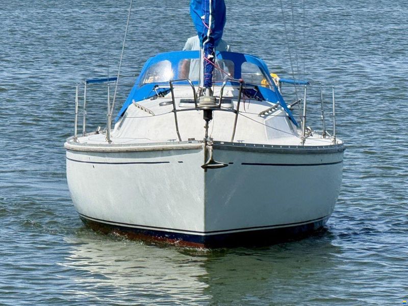 Contessa 28