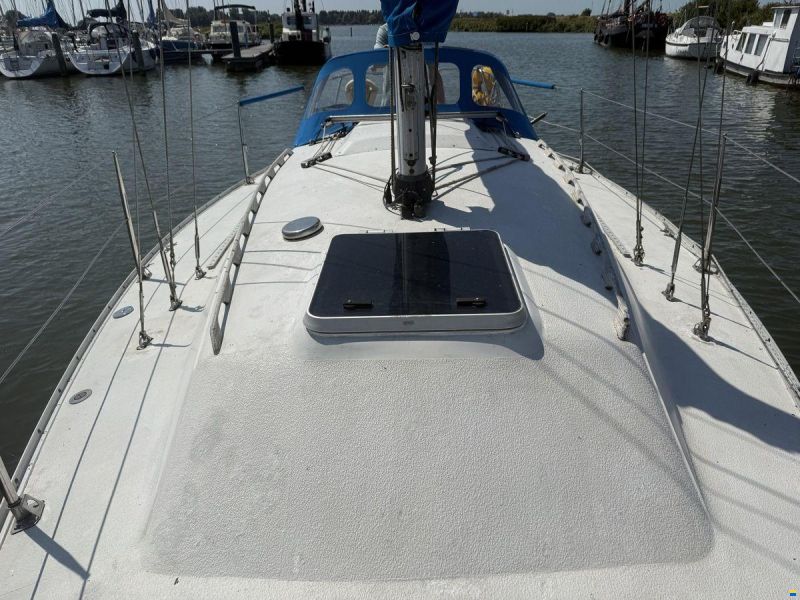 Contessa 28
