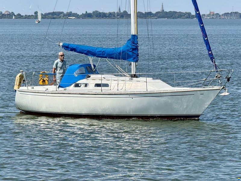 Contessa 28