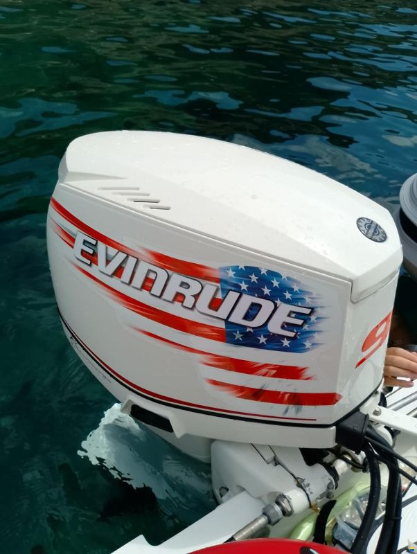 Evinrude Motore fuoribordo Evinrude 90cv