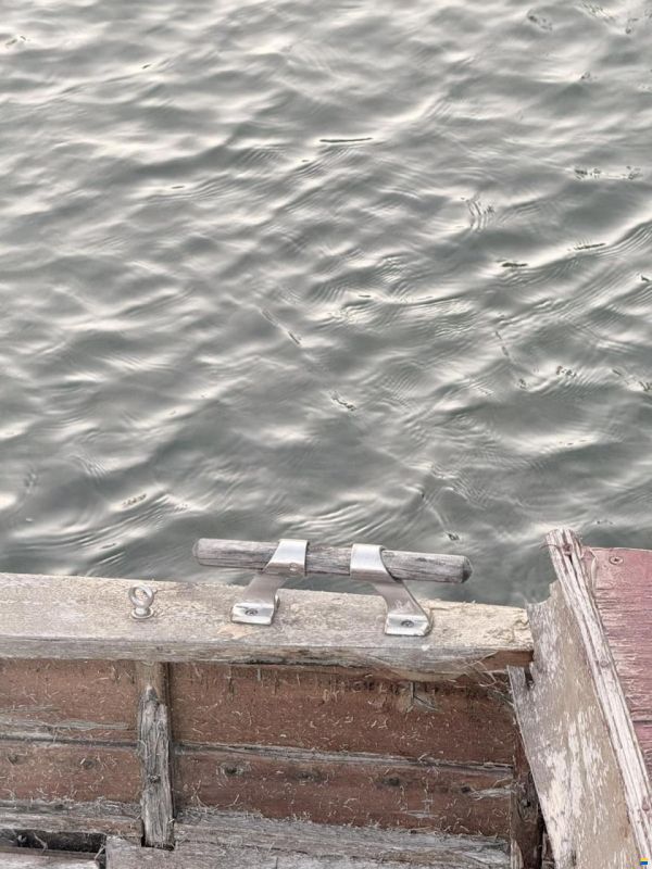 Stähli vom Bodensee