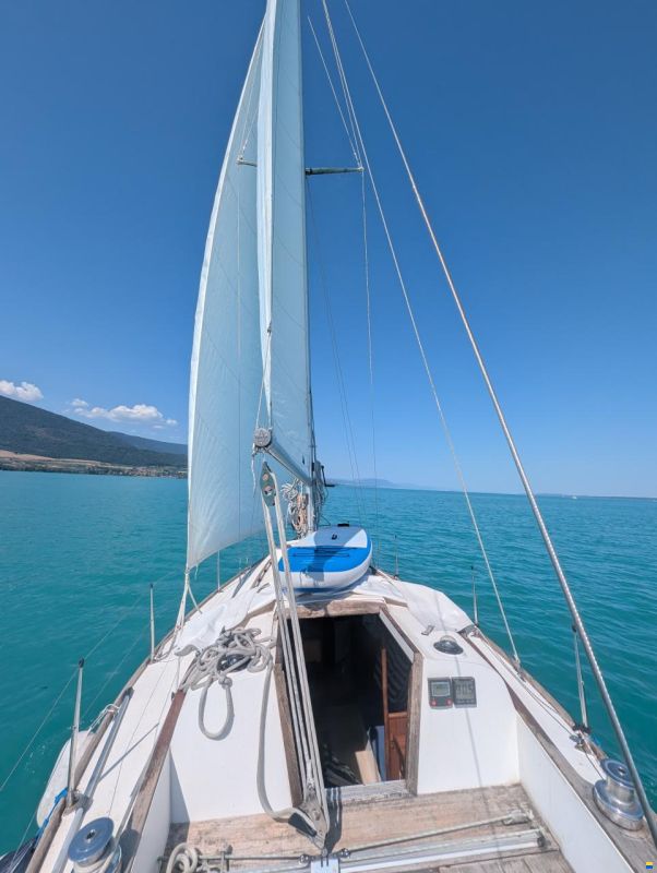 Navimor Voilier Navimor Carter 30
