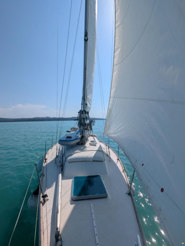 Navimor Voilier Navimor Carter 30
