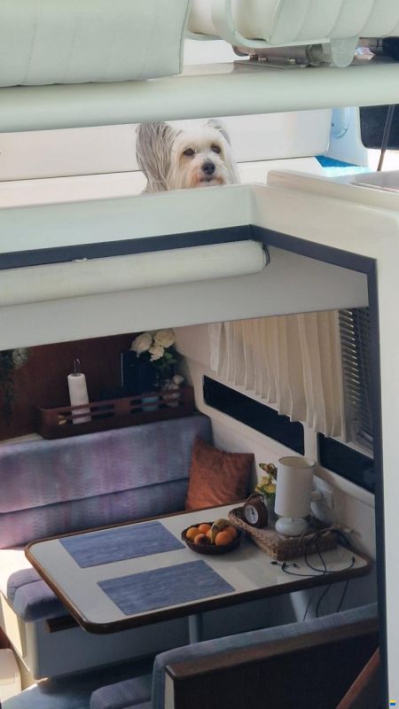 Carver 33 Aft Cabin