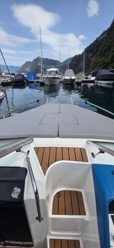Monterey 206 SCR