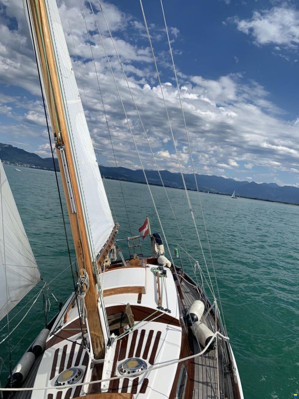 Anne Wever 29" Trintella 1