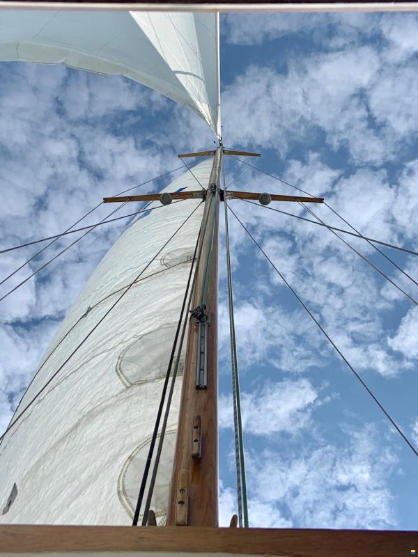 Anne Wever 29" Trintella 1
