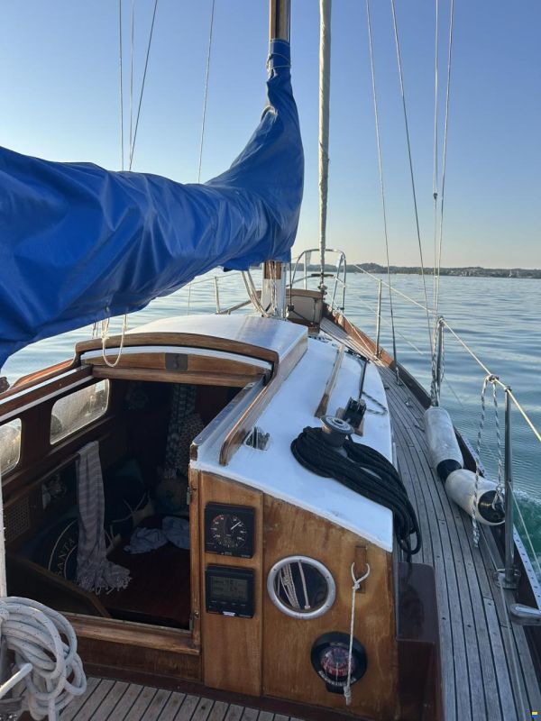 Anne Wever 29" Trintella 1