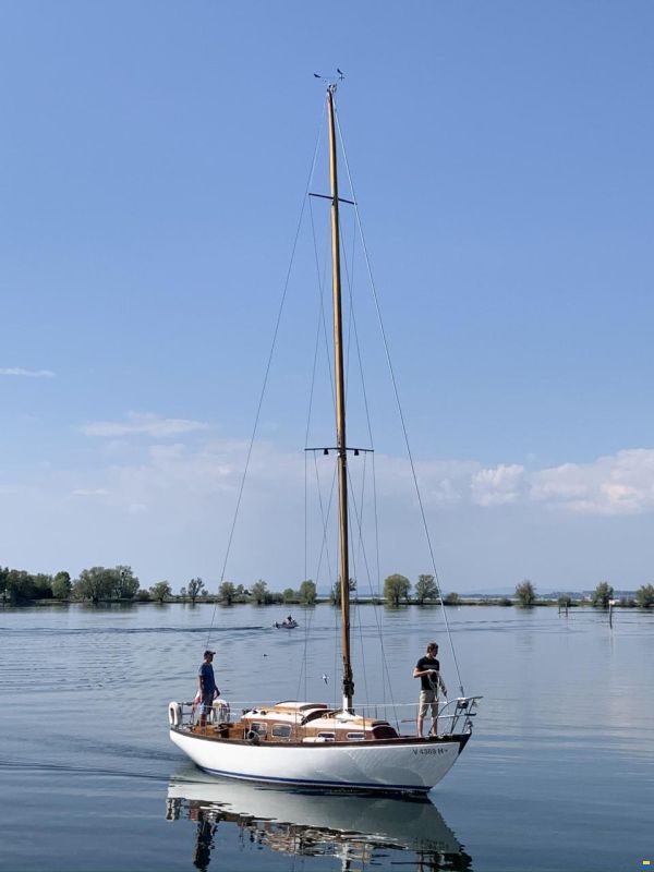 Anne Wever 29" Trintella 1