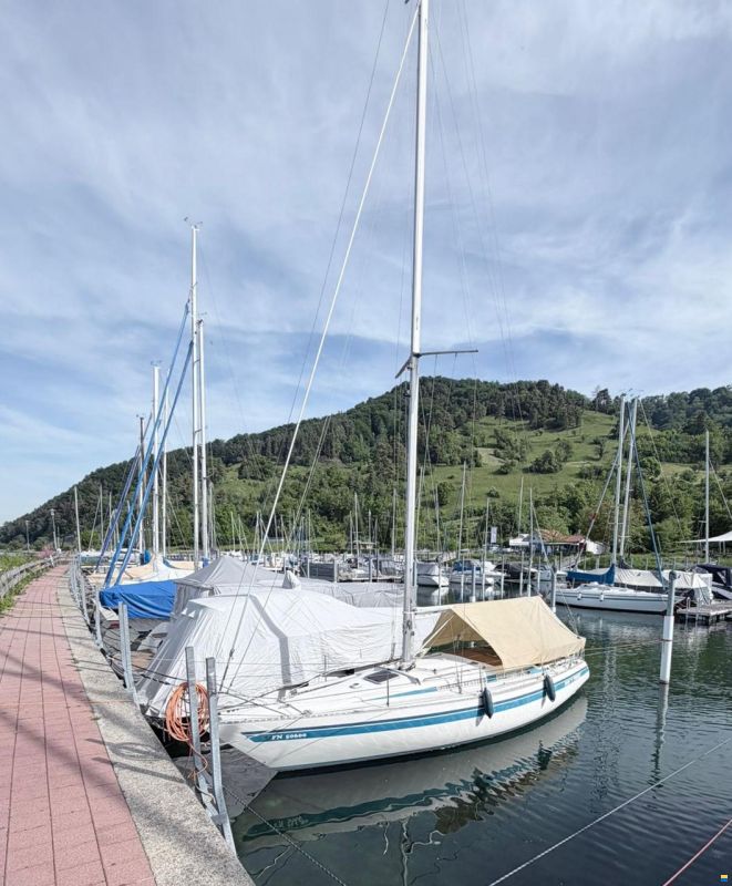 Helmsmann Athena 34