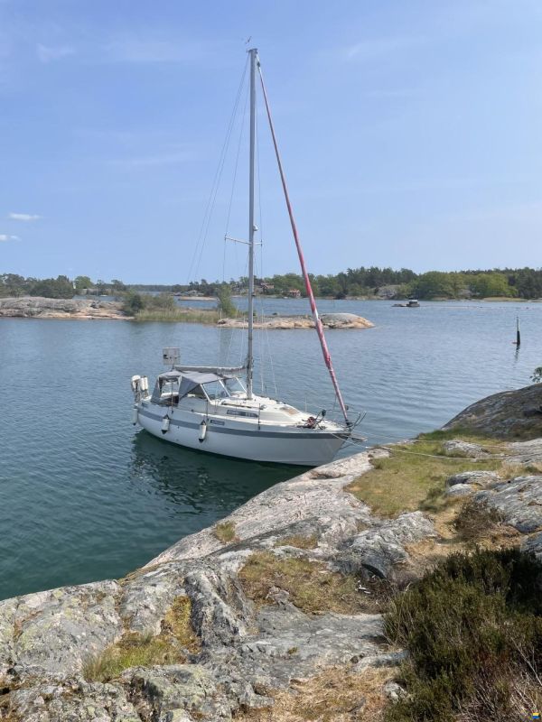 Albin 82 ms