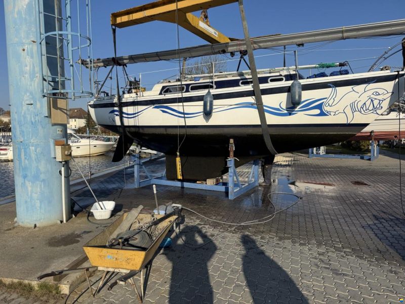 Ericson 29