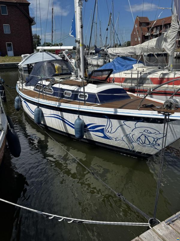 Ericson 29