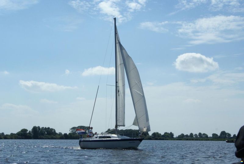 Aquavite 26