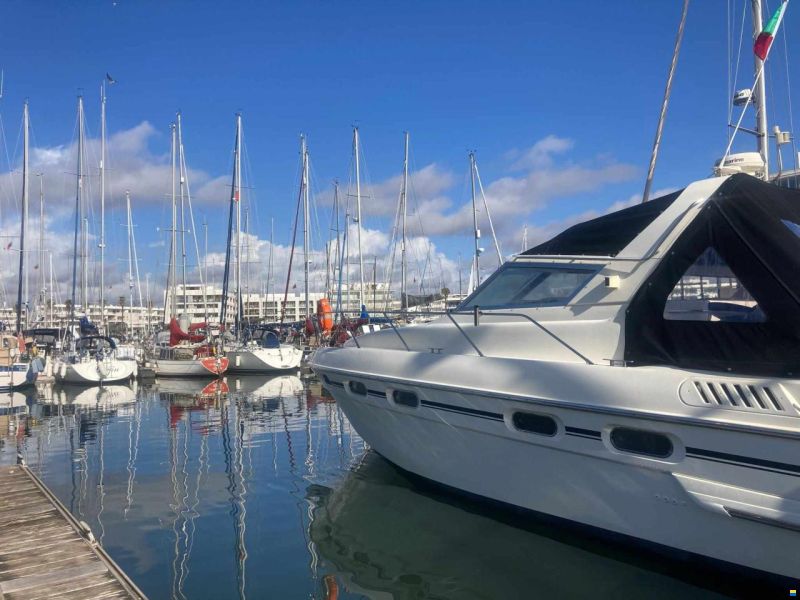 Sealine 365 sportsbridge