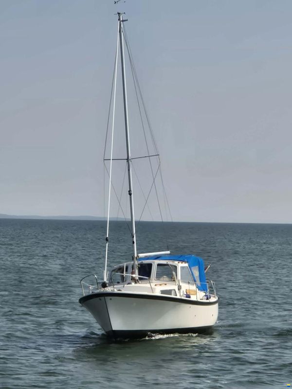 Winga 25