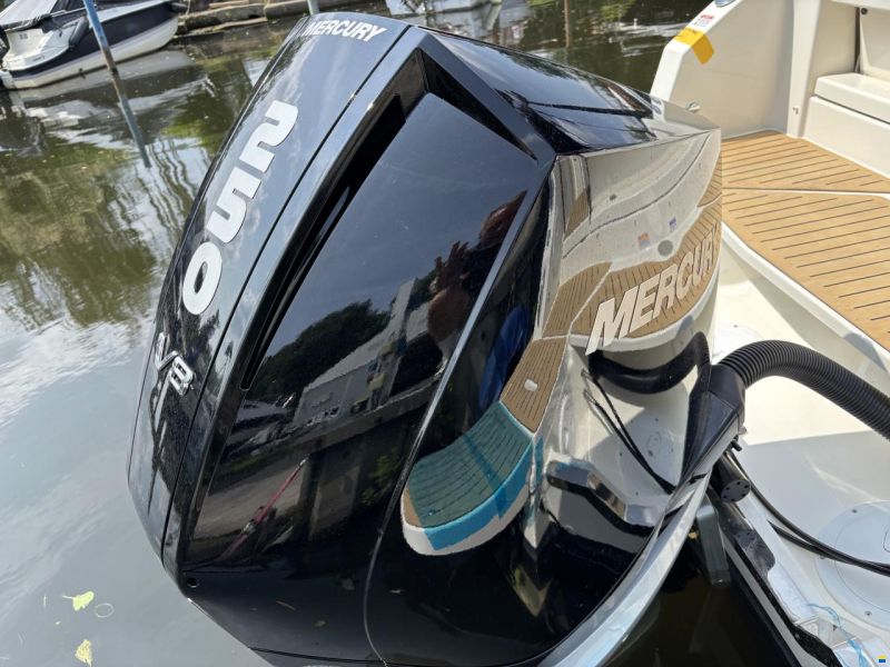 Quicksilver Activ 805 Cruiser