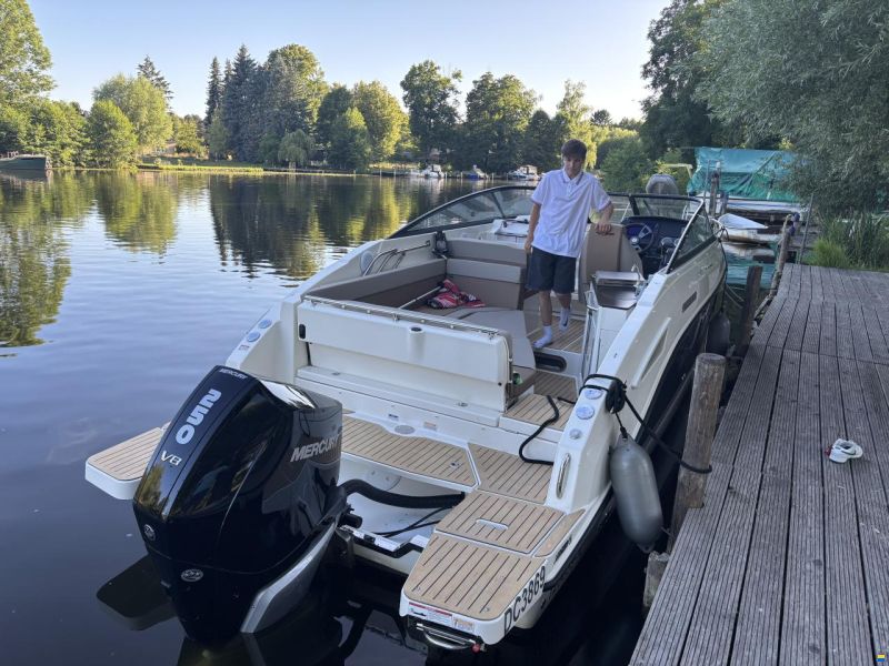 Quicksilver Activ 805 Cruiser