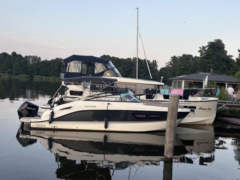 Quicksilver Activ 805 Cruiser
