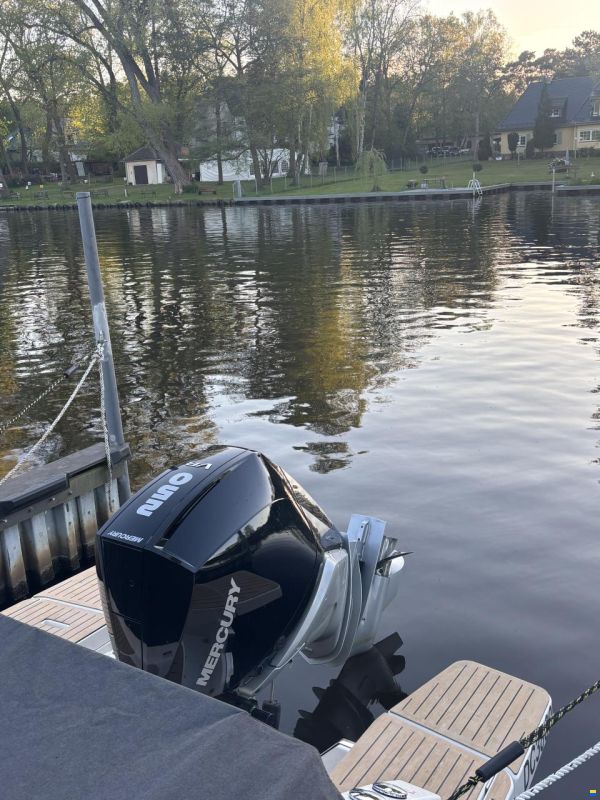 Quicksilver Activ 805 Cruiser