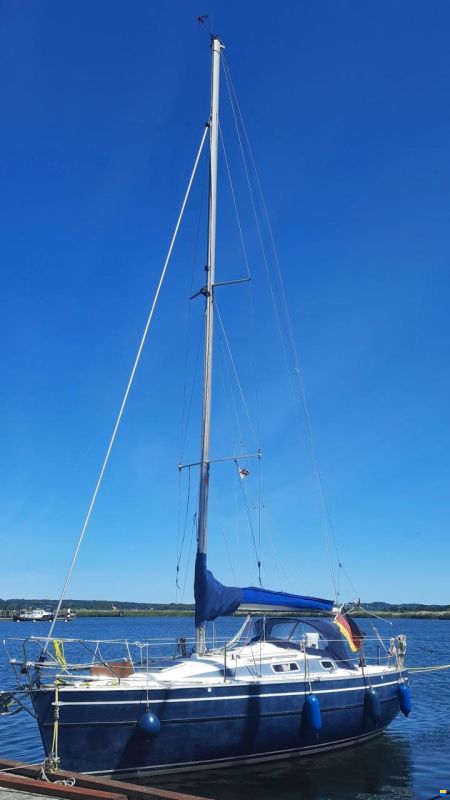 Skipper Arion 29