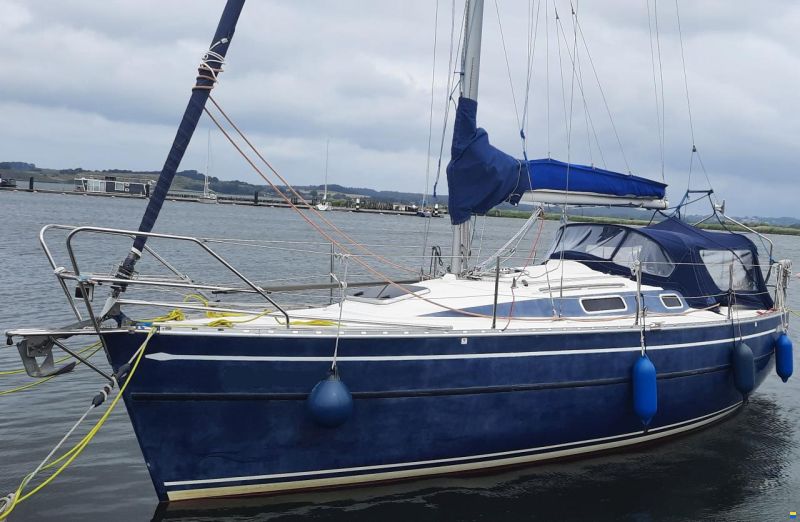 Skipper Arion 29