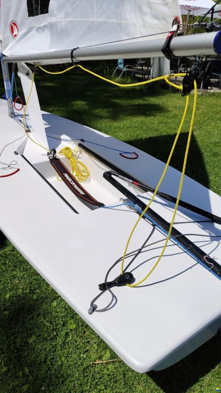 Laser Standard / Radial