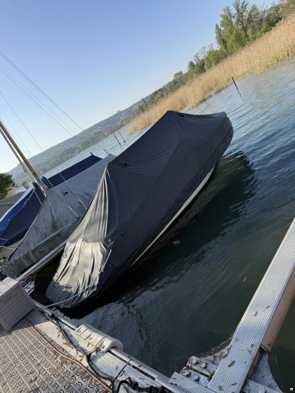Viper V203 Pure – 222 PS