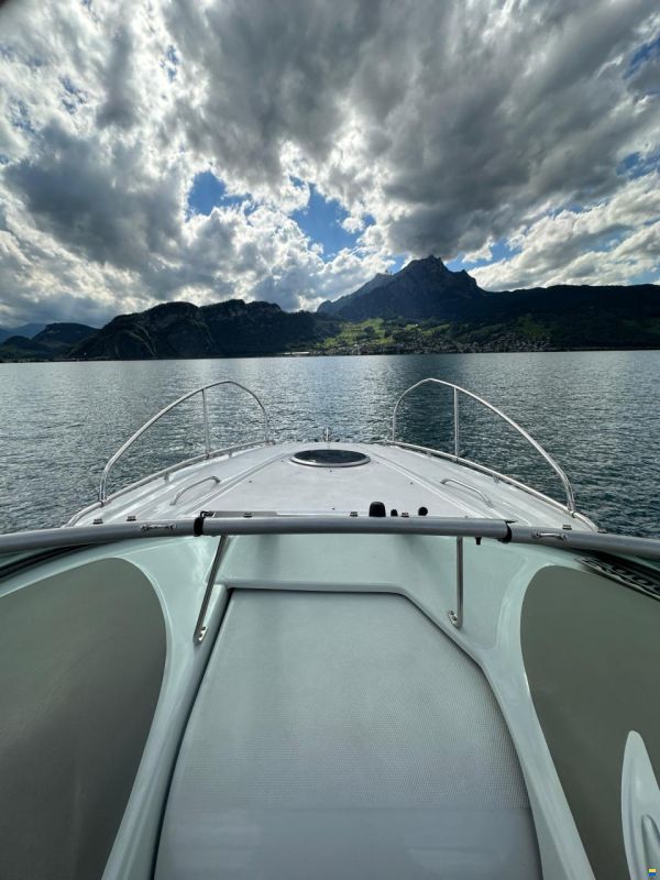 Crownline 255