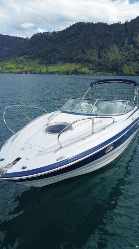 Crownline 255