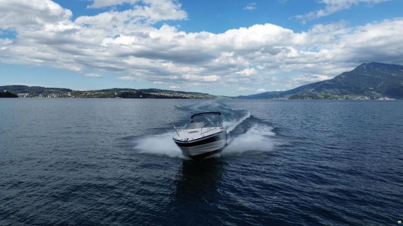 Crownline 255