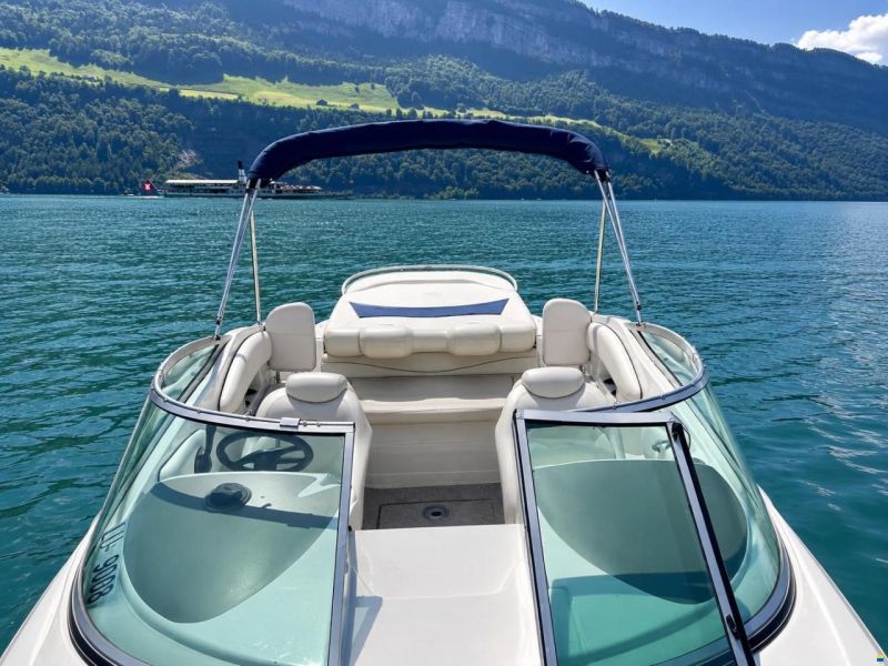 Crownline 26 Day Cruiser