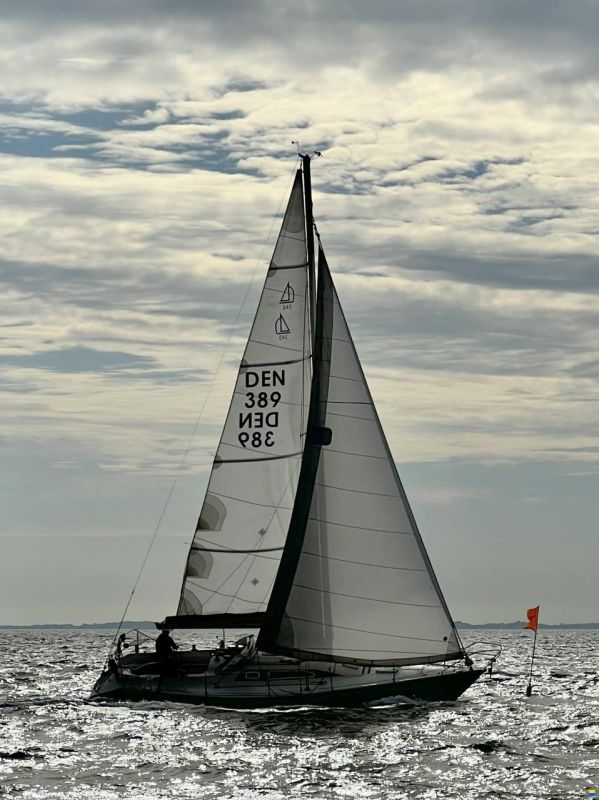 Dehler 343 Optima 106