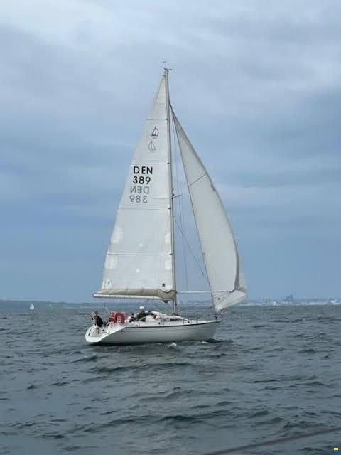 Dehler 343 Optima 106