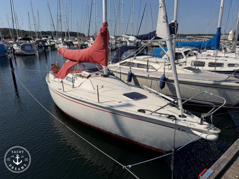 Albin Cirrus 7.8