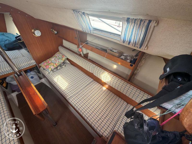 Albin Cirrus 7.8