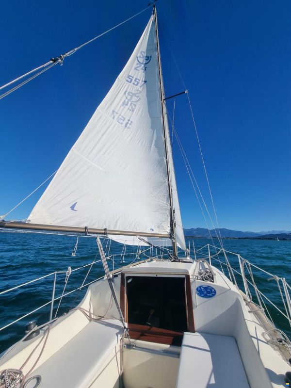 Nautica 24